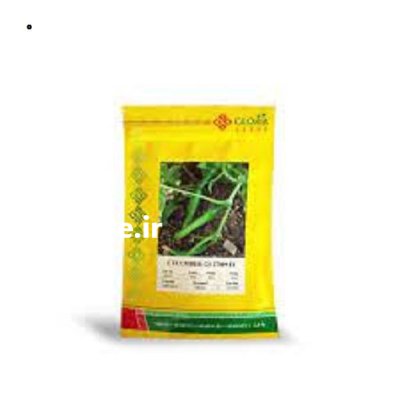 بذر خیار گلوریا در گروه خرید و فروش بذر خیار در یکمیوه -عکس1