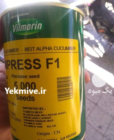 بذر خیار ویلمورین در گروه خرید و فروش بذر خیار در یکمیوه -عکس1