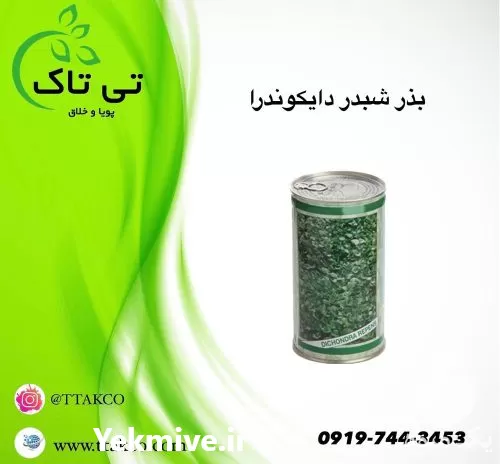 فروش کاشت بذر چمن دایکوندرا در اراک در گروه خرید و فروش بذر چمن در یکمیوه -عکس1