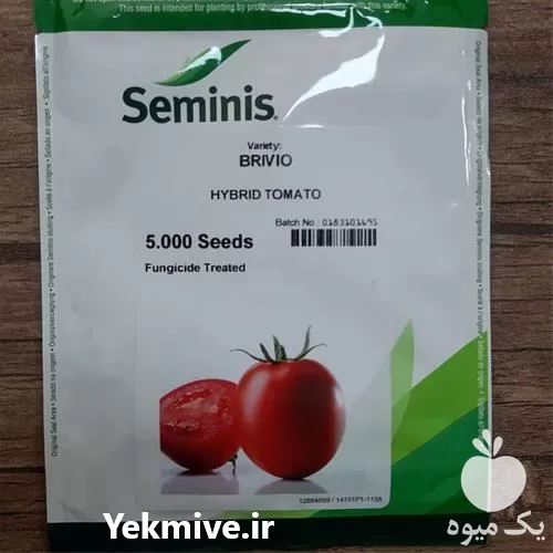 خرید عرضه بذر گوجه فرنگی برویوو در گروه خرید و فروش بذر گوجه در یکمیوه -عکس1