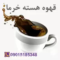 خرید قهوه هسته خرما در گروه خرید و فروش خرما در یکمیوه
