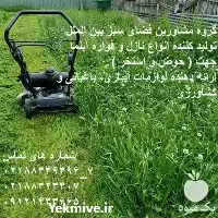 عرضه دستگاه چمن زن با کیفیتی در تهران در گروه علف تراش و علف زن در یکمیوه