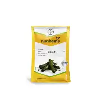 قیمت بذر خیار گلخانه ای تالیسیا در گروه خرید و فروش بذر خیار در یکمیوه