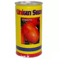 قیمت خرید بذر پیاز یونی ژن در گروه خرید و فروش بذر پیاز در یکمیوه