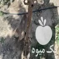 فروش نهر کن تیلر در کشکسرای در گروه خرید و فروش نهرکن در یکمیوه