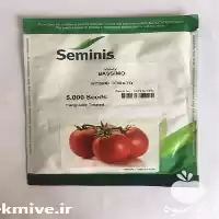 فروش بذر گوجه فرنگی باسیمو در گروه خرید و فروش بذر گوجه در یکمیوه