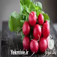 فروش بهترین بذر تربچه در البرز در گروه خرید و فروش انواع بذر در یکمیوه