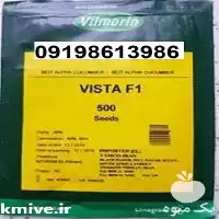 بذر خیار ویستا پر فروش اصل در فارس در گروه خرید و فروش بذر خیار در یکمیوه