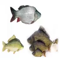 قیمت خرید بچه ماهی در آذربایجان غربی در گروه خرید و فروش بچه ماهی در یکمیوه