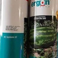 بذر رهندوانه ارگون در بوشهر در گروه خرید و فروش بذر هندوانه در یکمیوه