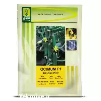 فروش بذر خیار گلخانه ای اوسیوم در گروه خرید و فروش بذر خیار در یکمیوه