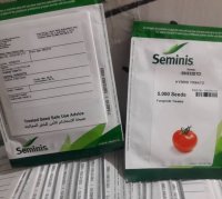 گوجه فرنگی برنتا در بوشهر در گروه خرید و فروش بذر گوجه در یکمیوه