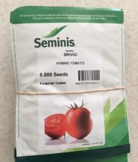 گوجه فرنگی بریویو در گروه خرید و فروش بذر گوجه در یکمیوه