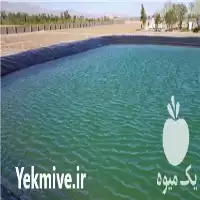 قیمت خرید ساخت استخر ذخیره اب در اصفهان در گروه خرید و فروش استخر کشاورزی در یکمیوه