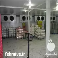 سردخانه در گروه اجاره سردخانه در یکمیوه