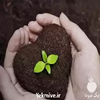 فروش خاک بسته بندی مناسب باغچه در تهران در گروه انواع محصولات خاک و تغذیه در یکمیوه