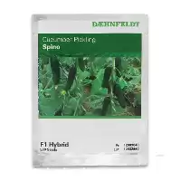 فروش بذر خیار اسپینو در گروه خرید و فروش بذر خیار در یکمیوه