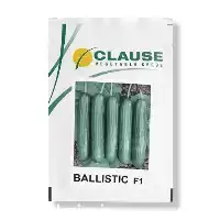 قیمت خرید بذر خیار بالستیک در گروه خرید و فروش بذر خیار در یکمیوه