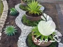 شرکت خدماتی نظافتی باغبانی منازل اپارتمان در مازندران در گروه خدمات باغبانی در یکمیوه -عکس1