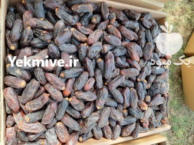 پیش خرید خرما در آذربایجان شرقی در گروه خرید و فروش خرما در یکمیوه -عکس1