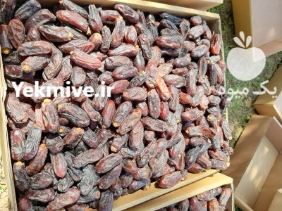 پیش خرید خرما در آذربایجان شرقی در گروه خرید و فروش خرما در یکمیوه -عکس2