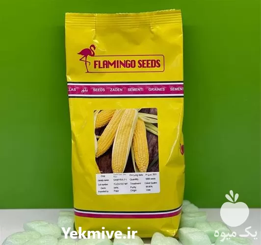 خرید بذر ذرت شیرین F 1 سمیرا در کرمان  در گروه خرید و فروش بذر ذرت در یکمیوه -عکس1