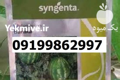 بذر هندوانه باراکا اصل در مشهد در گروه خرید و فروش بذر هندوانه در یکمیوه -عکس1