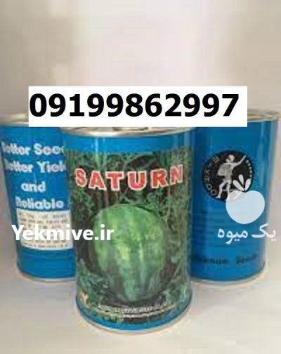 بذر هندوانه میکادو اصل در گروه خرید و فروش بذر هندوانه در یکمیوه -عکس1