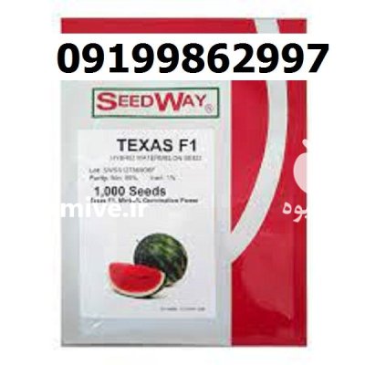 بذر هندوانه تگزاس اصل در بندرعباس در گروه خرید و فروش بذر هندوانه در یکمیوه -عکس1