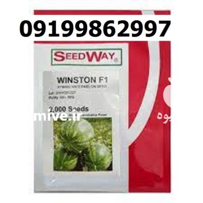 بذر هندوانه وینستون اصل در گروه خرید و فروش بذر هندوانه در یکمیوه -عکس1