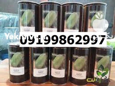 بذر هندوانه کانیون اصل در گروه خرید و فروش بذر هندوانه در یکمیوه -عکس1