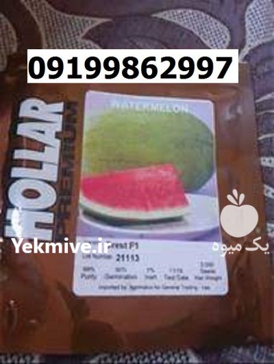 بذر هندوانه هولار اصل در گروه خرید و فروش بذر هندوانه در یکمیوه -عکس1