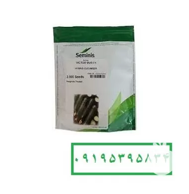 قیمت خرید توزیع بذر در گروه خرید و فروش بذر میوه در یکمیوه -عکس1