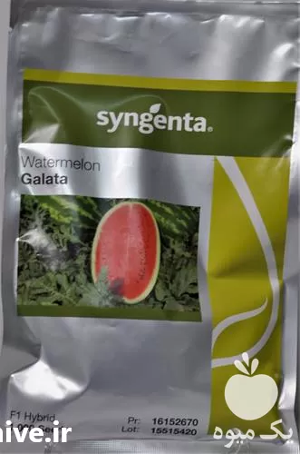 فروش بذر هندوانه اس جی گالاتا در یزد در گروه خرید و فروش هندوانه در یکمیوه -عکس1