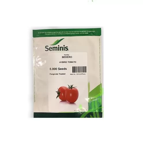 فروش بذر گوجه فرنگی بدرو در تهران در گروه خرید و فروش بذر گوجه در یکمیوه -عکس1