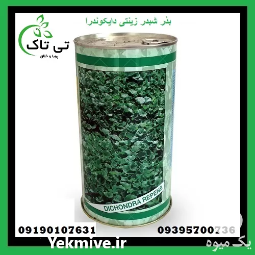 قیمت خرید بذر چمن در قزوین در گروه خرید و فروش بذر چمن در یکمیوه -عکس1