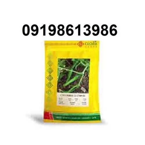 عرضه بذر خیار گلوریا پر فروش در اهواز در گروه خرید و فروش بذر خیار در یکمیوه -عکس1