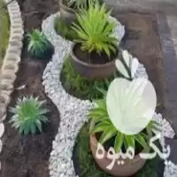 شرکت خدماتی نظافتی باغبانی منازل اپارتمان در مازندران در گروه خدمات باغبانی در یکمیوه