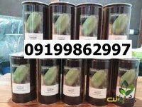 بذر هندوانه کانیون اصل در گروه خرید و فروش بذر هندوانه در یکمیوه