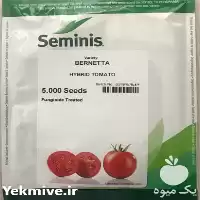 فروش بذر گوجه فرنگی برنتا در کرمان  در گروه خرید و فروش بذر گوجه در یکمیوه