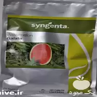 فروش بذر هندوانه اس جی گالاتا در یزد در گروه خرید و فروش هندوانه در یکمیوه