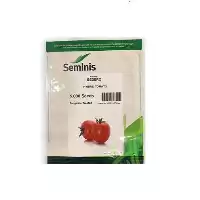 فروش بذر گوجه فرنگی بدرو در تهران در گروه خرید و فروش بذر گوجه در یکمیوه