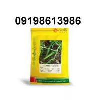 عرضه بذر خیار گلوریا پر فروش در اهواز در گروه خرید و فروش بذر خیار در یکمیوه