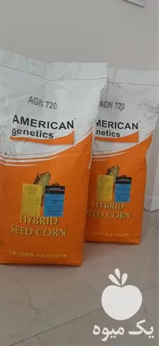 فروش انواع بذرهای کشاورزی در گروه خرید و فروش انواع بذر در یکمیوه -عکس1