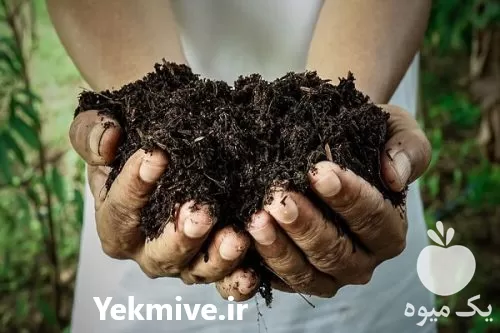 قیمت خرید کود گوشتی مرغی نقلی در تهران در گروه خرید و فروش کود مرغی در یکمیوه -عکس1