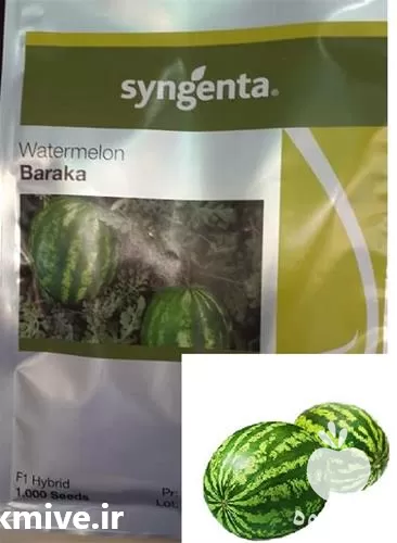 خرید قیمت بذر هندوانه باراکا خطی در بوشهر در گروه خرید و فروش بذر هندوانه در یکمیوه -عکس1