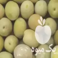 خرید زیتون روغن زیتون ترشی زیتون در مشهد در گروه خرید و فروش انواع روغن در یکمیوه