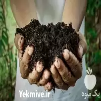 قیمت خرید کود گوشتی مرغی نقلی در تهران در گروه خرید و فروش کود مرغی در یکمیوه