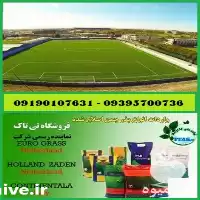 خرید انواع بذر چمن سردسیری گرمسیری در کرج در گروه خرید و فروش بذر چمن در یکمیوه