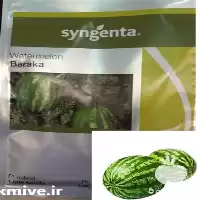 خرید قیمت بذر هندوانه باراکا خطی در بوشهر در گروه خرید و فروش بذر هندوانه در یکمیوه